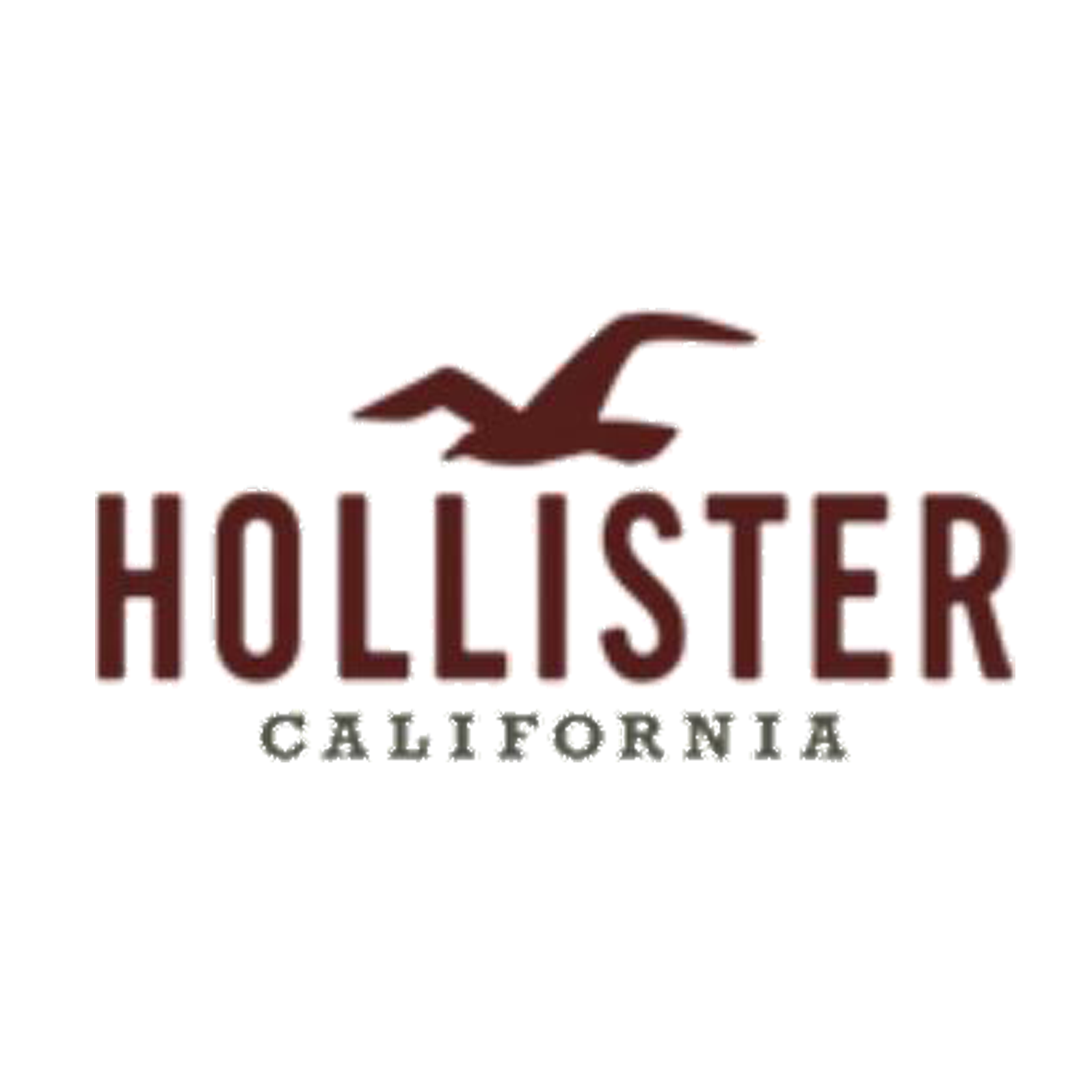 Hollister Co. alennuskoodit